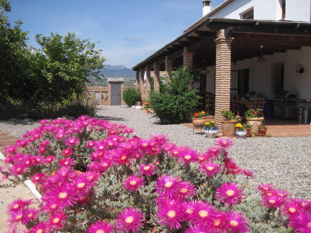 Finca Limon Hotel Pizarra Room photo